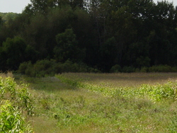 587th Ave/Manannah Township Image