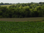 587th Ave/Manannah Township