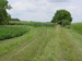 Manannah Township Meeker County