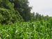 Manannah Township Meeker County